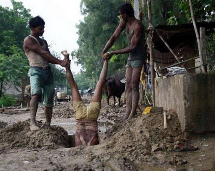 Типичные претенденты на Премию Дарвина