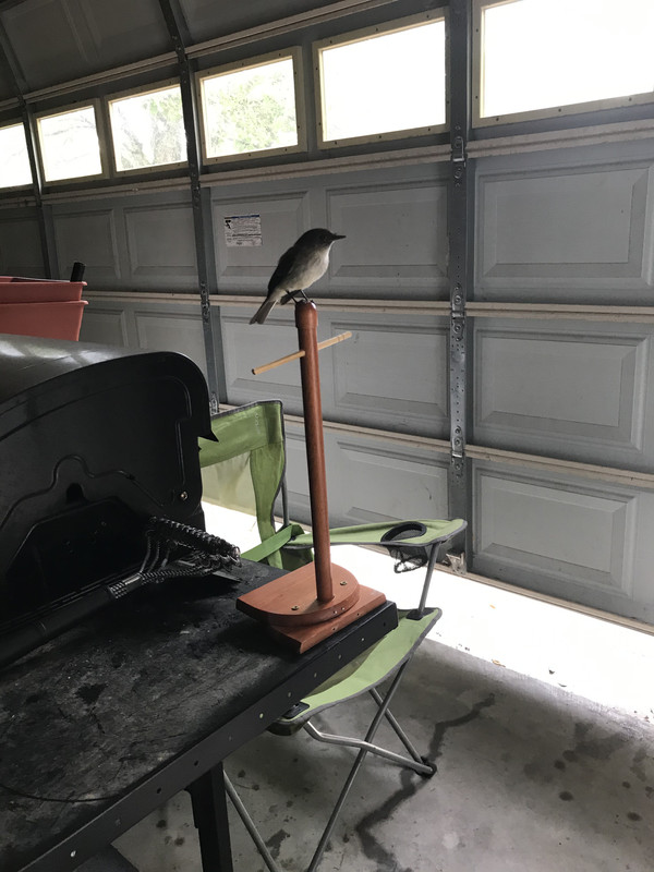 87FEE7F7-7310-490C-BE54-02E31BFD8A23