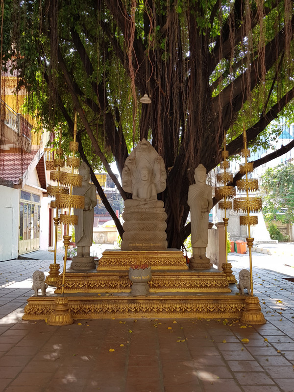 [Bild: 20190307-145231.jpg]