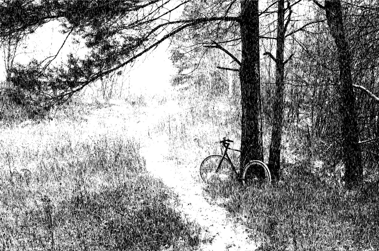 IMGP2979 - копия