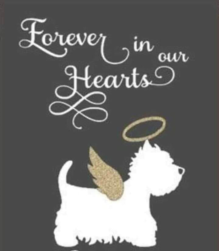 [Image: 269891201-441095414317032-5541427611506353802-n.jpg]