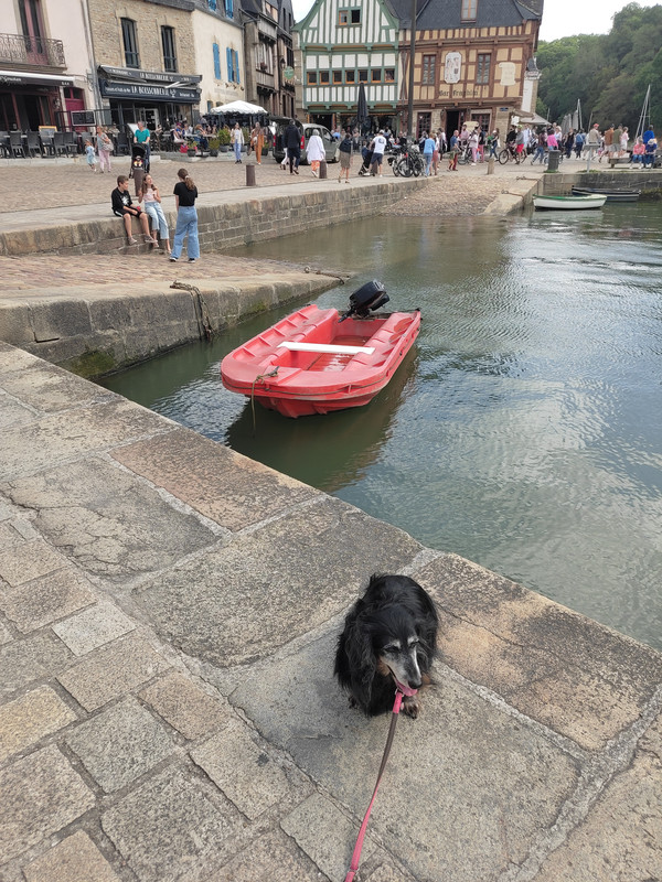 [Image: IMG-20230715-165629.jpg]