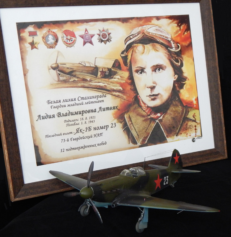 DSCN5110копирование