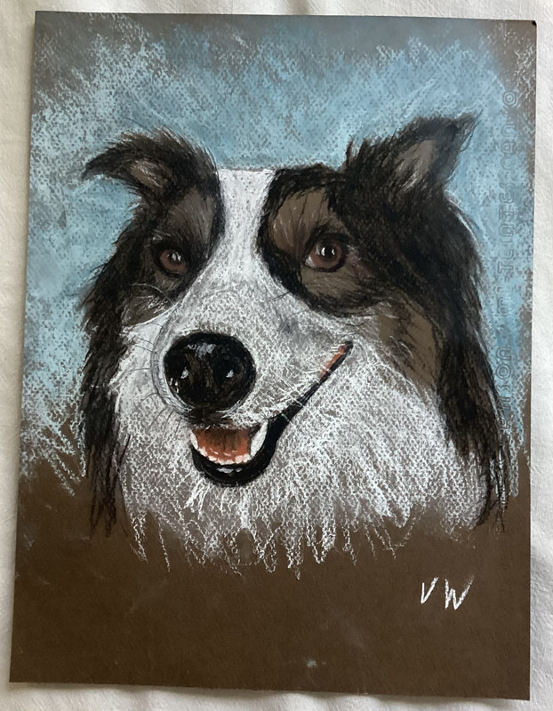 Charlie. Conte crayon.