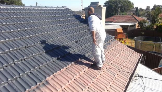 Roof painting