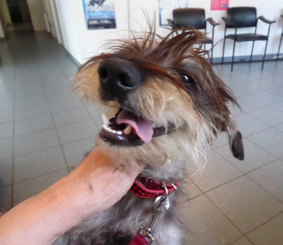 [Image: P1040888.jpg]