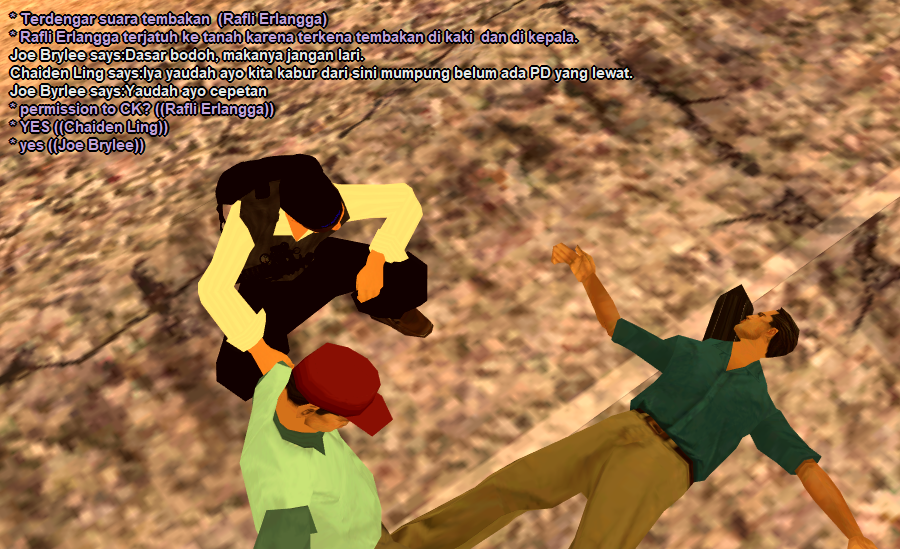 13.png
