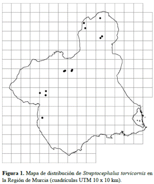 distribucion-streptocephalus-torvicornis