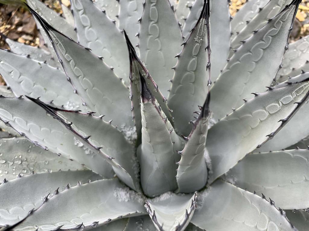 b2046c75 b62c 4372 8288 dce0b0eb91b6