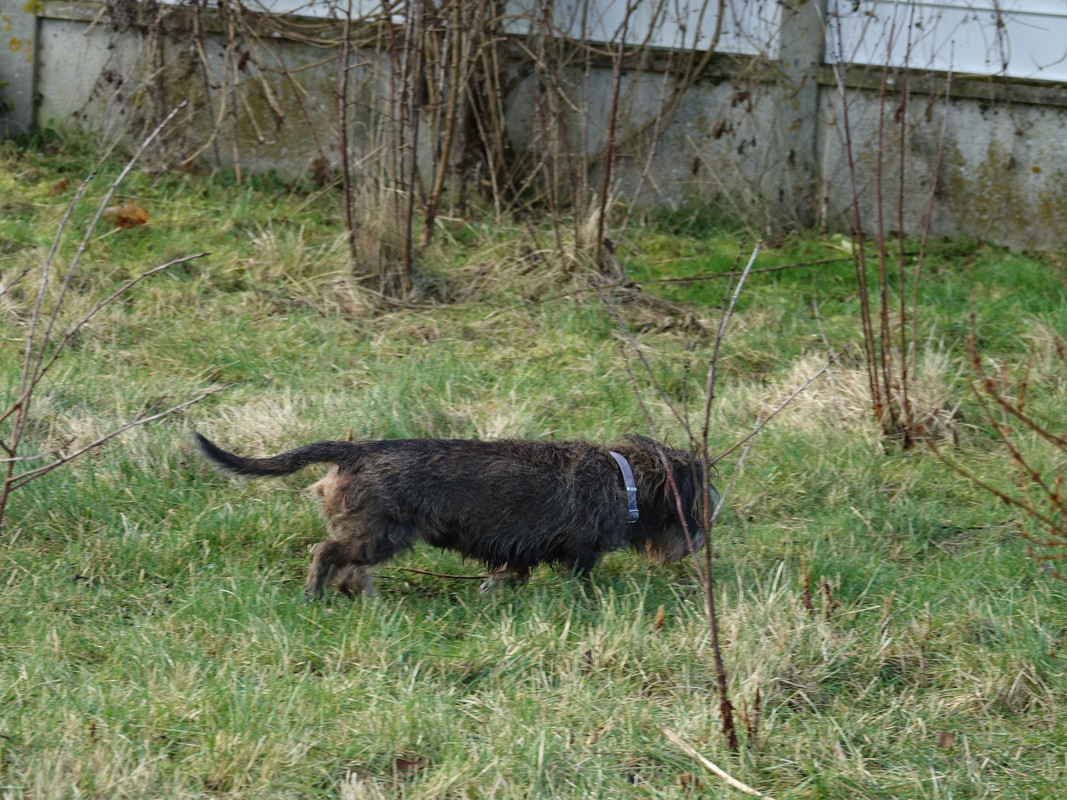 [Image: DSC00687.jpg]