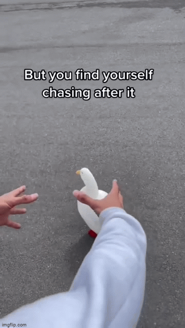 ���� ���� ������ �� ���� ������