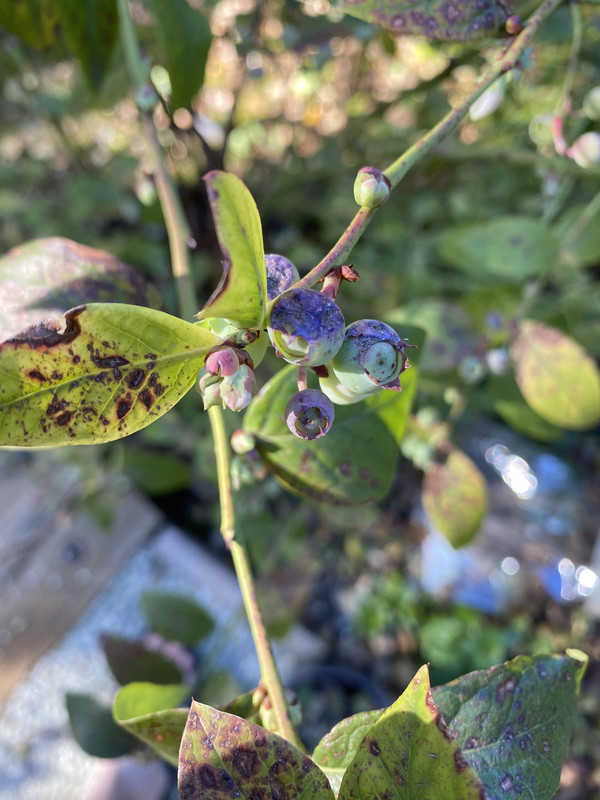 0BF5D4D8-8FA8-4288-BDCB-79B1226ADF85