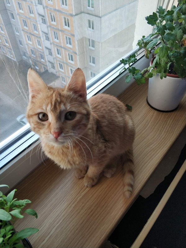 C142349E-352B-4E39-8BB6-180518058364