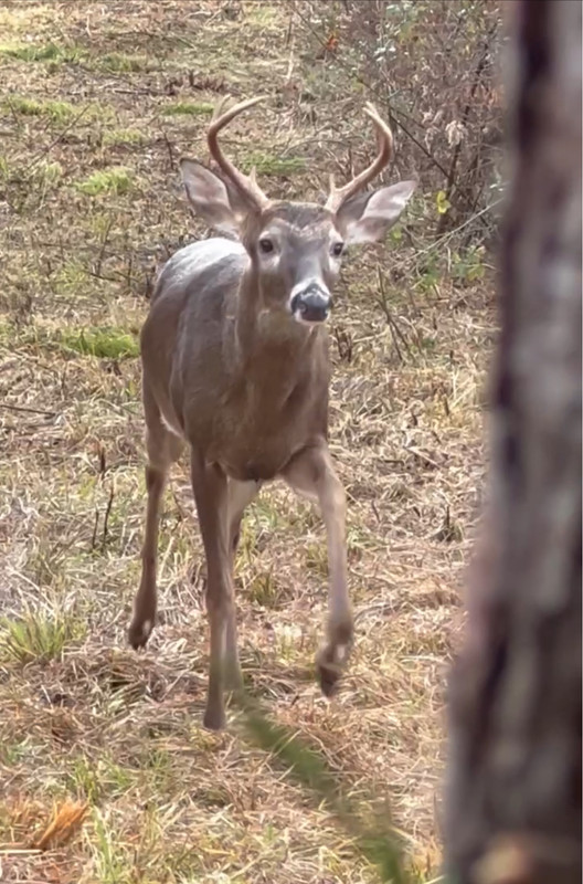 2AD715D5-B7BD-4AF6-A4B6-A7B3EEB8F857