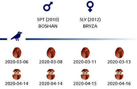 Gdynia- EDF. M. Bosman/ 5PT (2010) & V. Bryza/ 5LY (2012) - Pagina 3 Przechwytywanie-w-trybie-pe-noekranowym-20-04-2020-083614