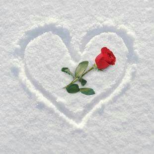 e622a6cccf12af5c39a7ce26fd62296e