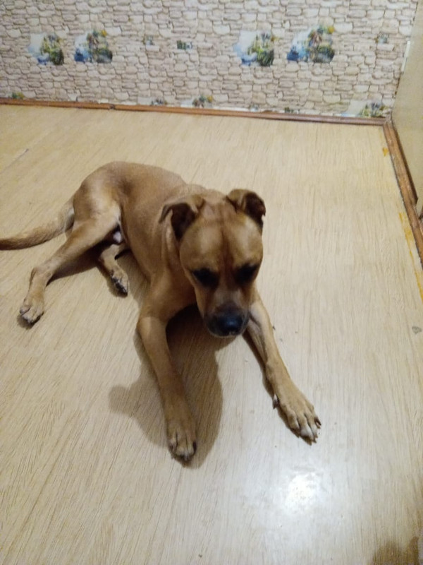 47C81869-A600-4D1A-9B6F-1561568FEBBE