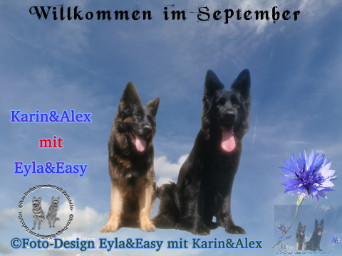 An den Beitrag angehängtes Bild: https://i.postimg.cc/52RHPbRP/GB-Willkommen-im-September.png