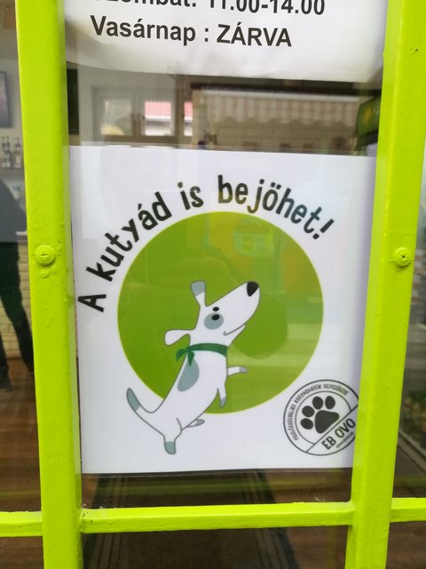 Kép