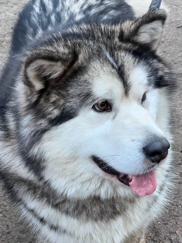 7A8FA573-4158-4D6A-80A8-0F9C64AA8A1A