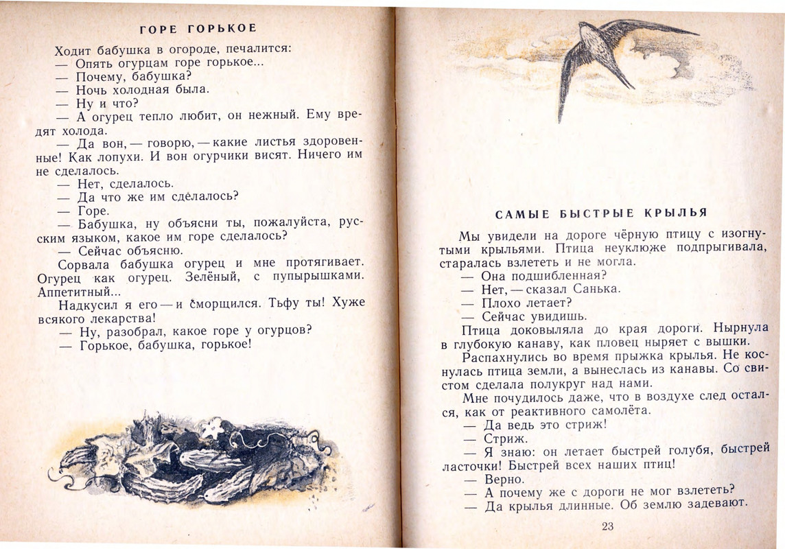 Шим Э. Ю. - Жук на ниточке - 1978_page-0013