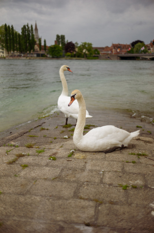 E4C88109-3449-4AB2-95E4-F470B26033D4