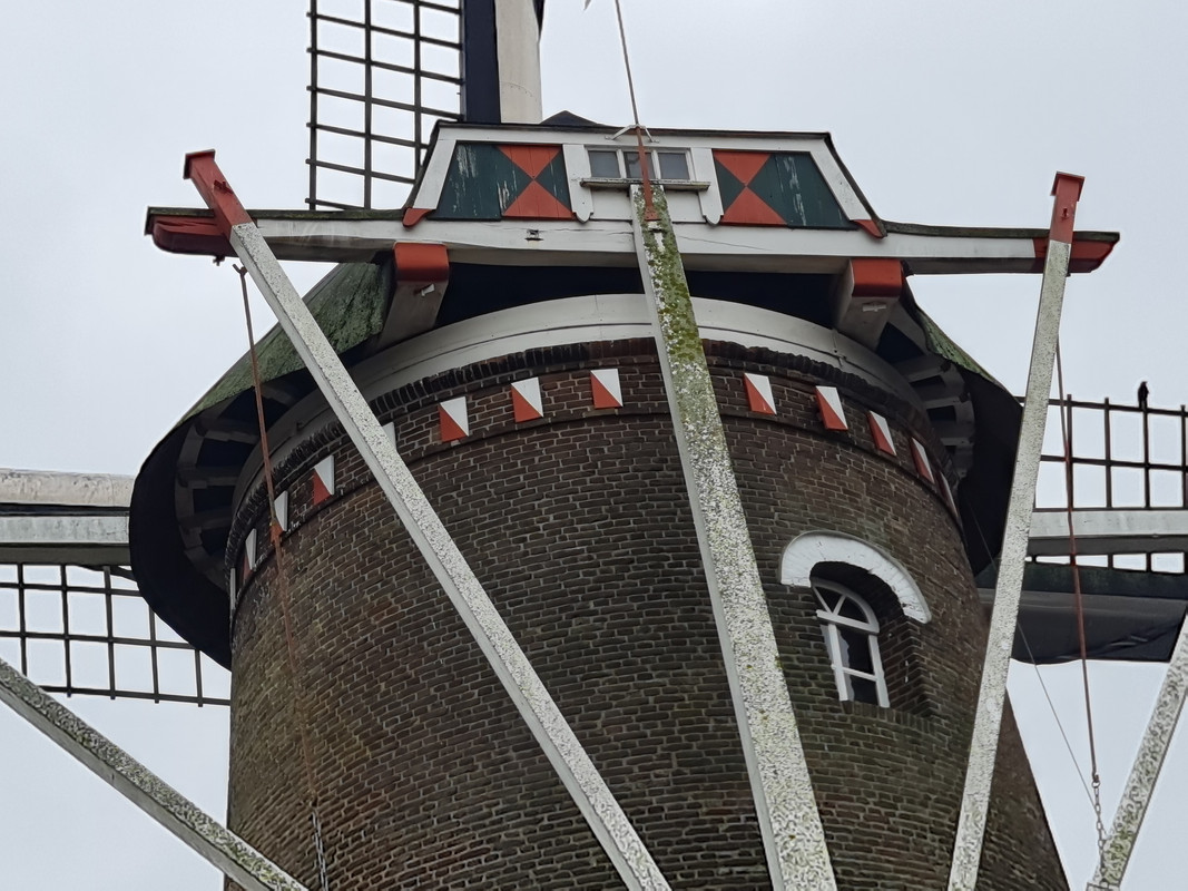 Pieter Zuijkerbuijk, Desiré 01 Megen 13-01-2024