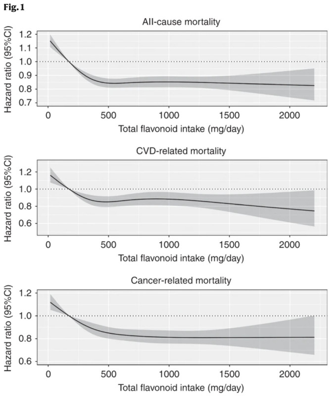 flavonoidIntakeAndHazard