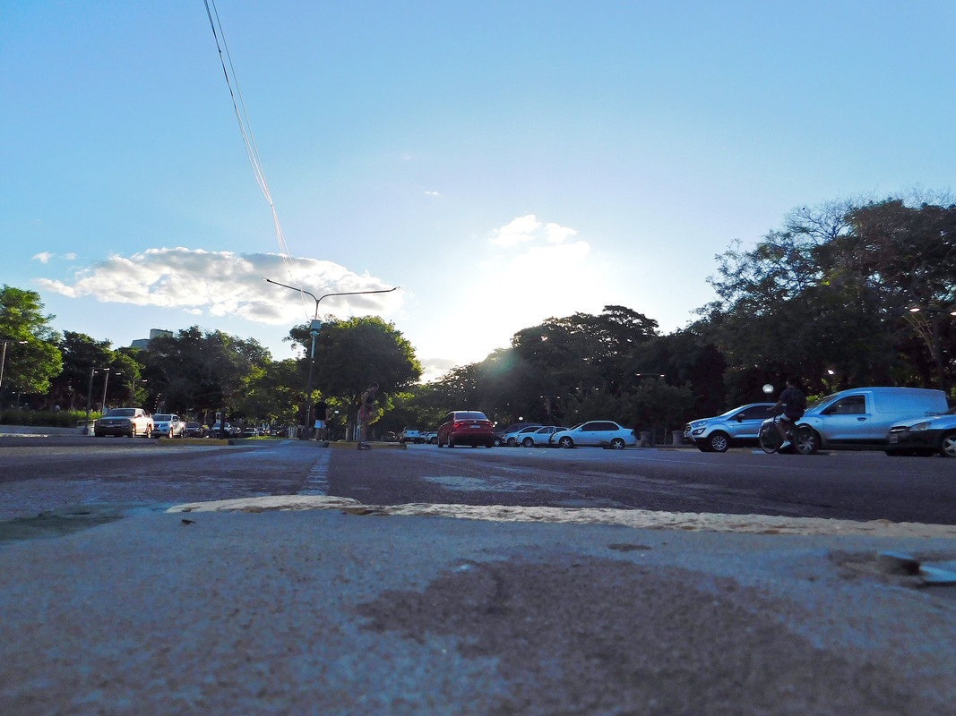 DSCN0308.jpg