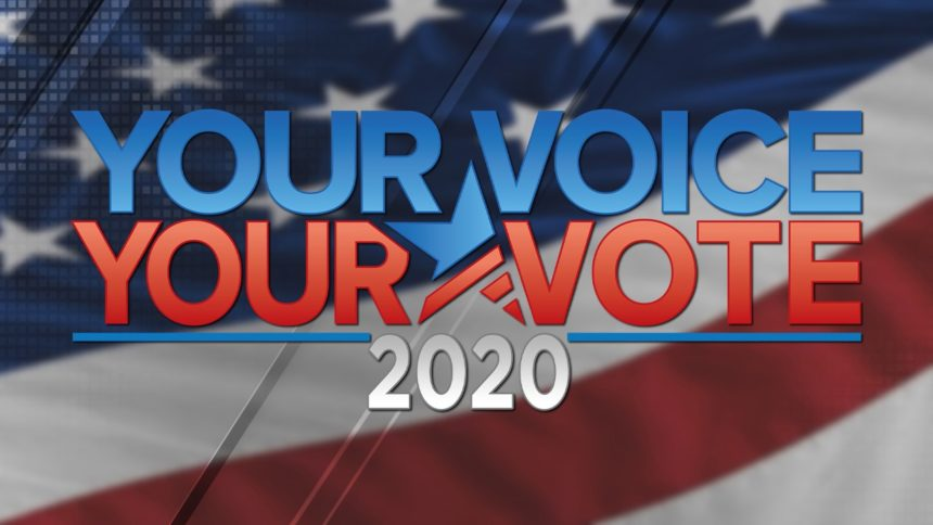 2020-election-your-voice-your-vote