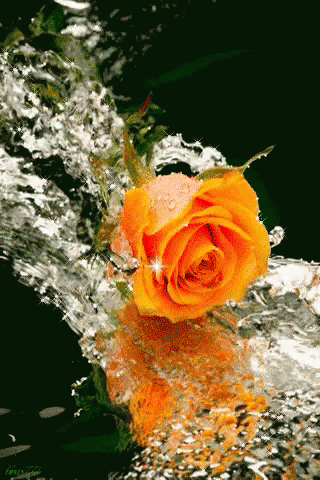 f2627ae1a4785417e4186b4e8a49e6ed.gif