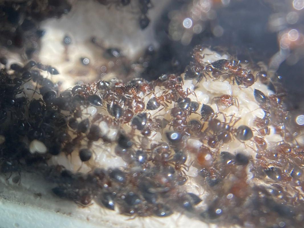 B5B325E5-7CEE-4980-A3CB-0B88FD04494A