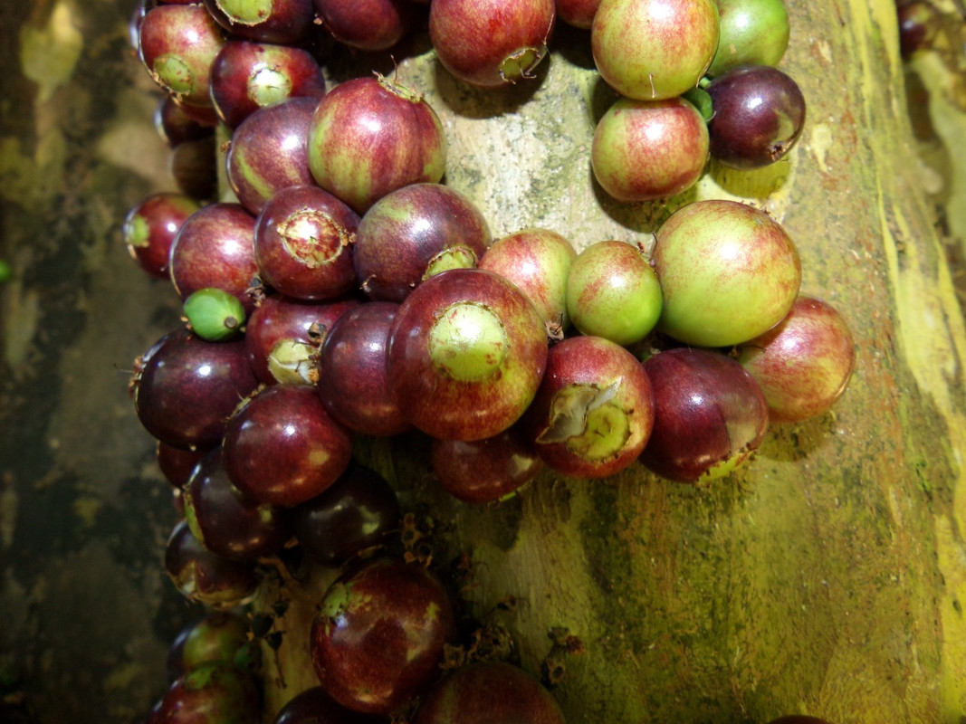 WhatsApp Image 2020-12-20 at 00.58.58 (28)