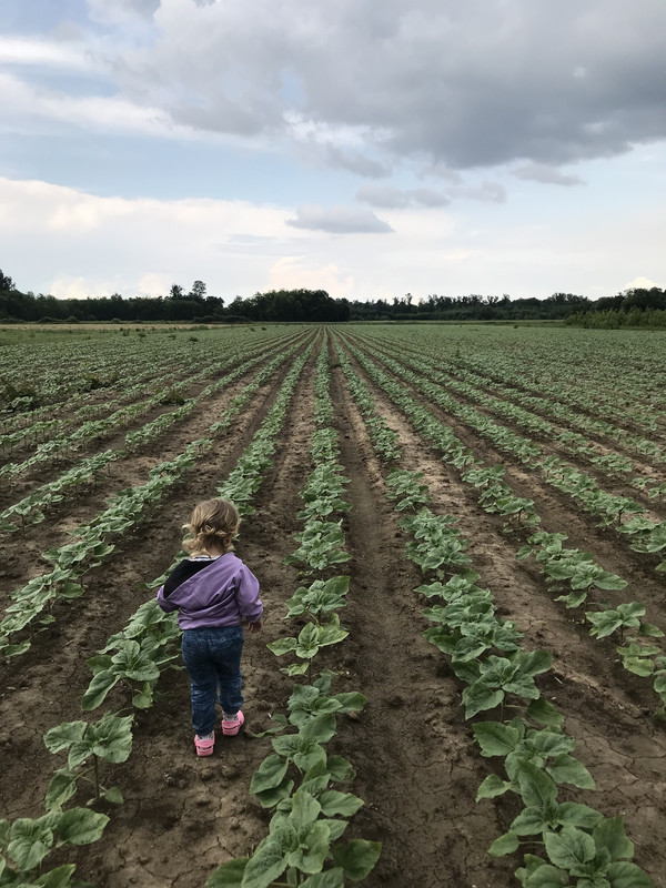 8D121606-65F5-43A6-B8A8-FDA4D3070895