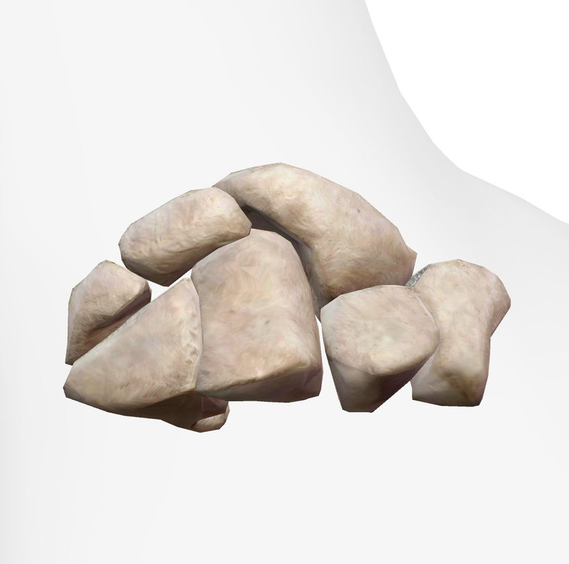 Articulations du Pied