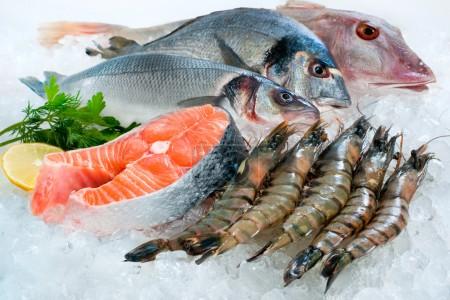 Fotky-Foto-seafood-on-ice-8929411.jpg
