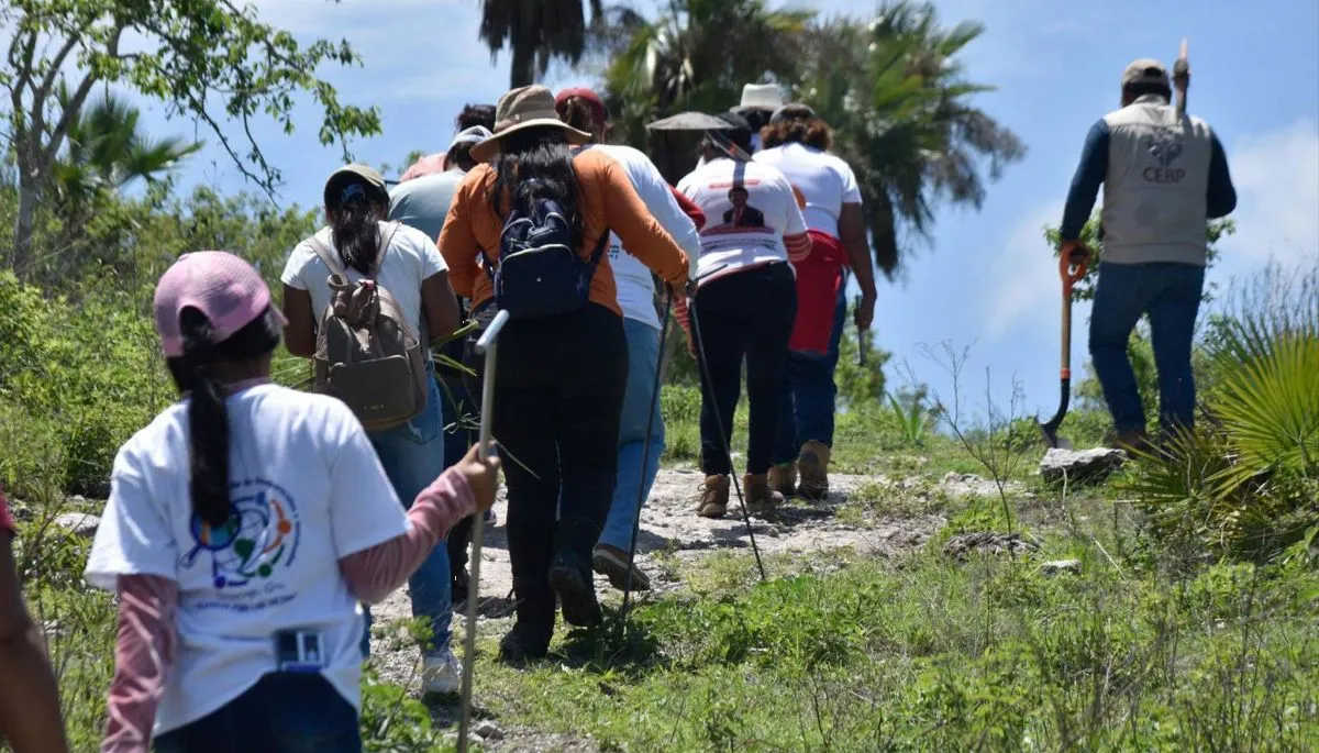 Primera etapa de informe de desaparecidos en México estará listo en diciembre