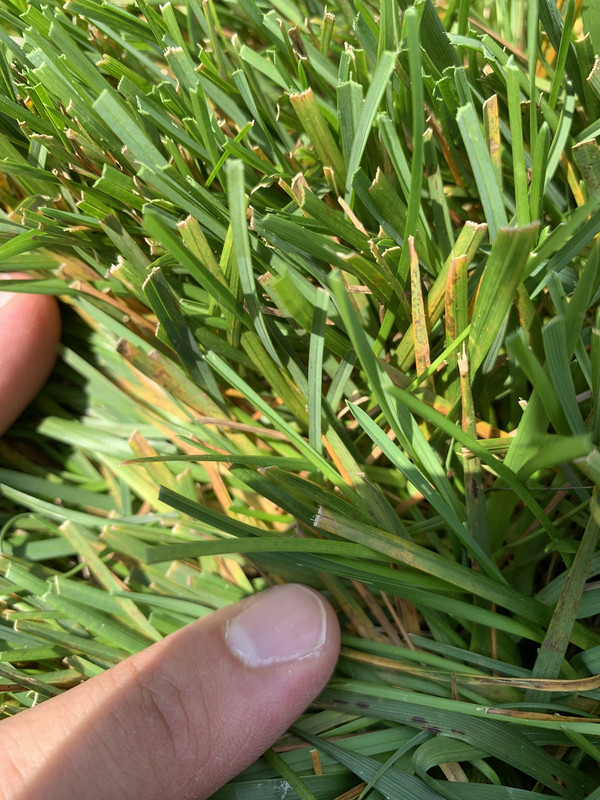 8AF324A3-82C7-496E-9922-A528FE48600E