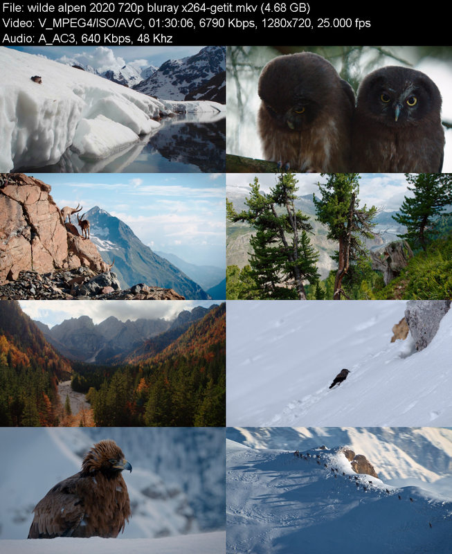 wilde-alpen-2020-720p-bluray-x264-getit.