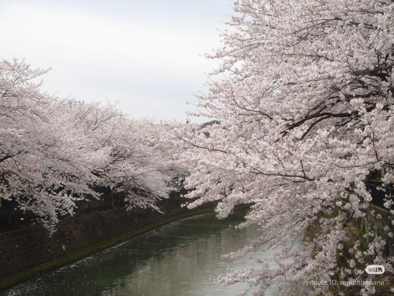 photo 37 2025 12 24 16 27 05