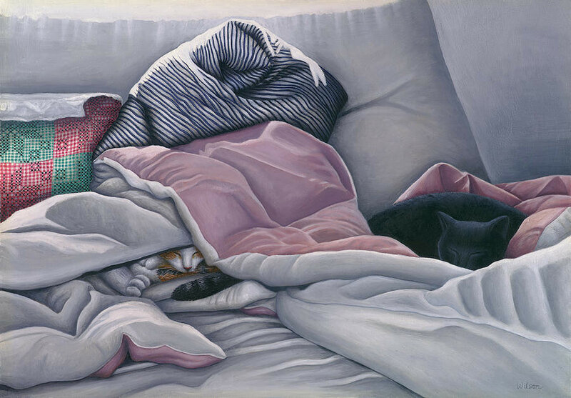 36-cats-hide-in-blankets-carol-wilson