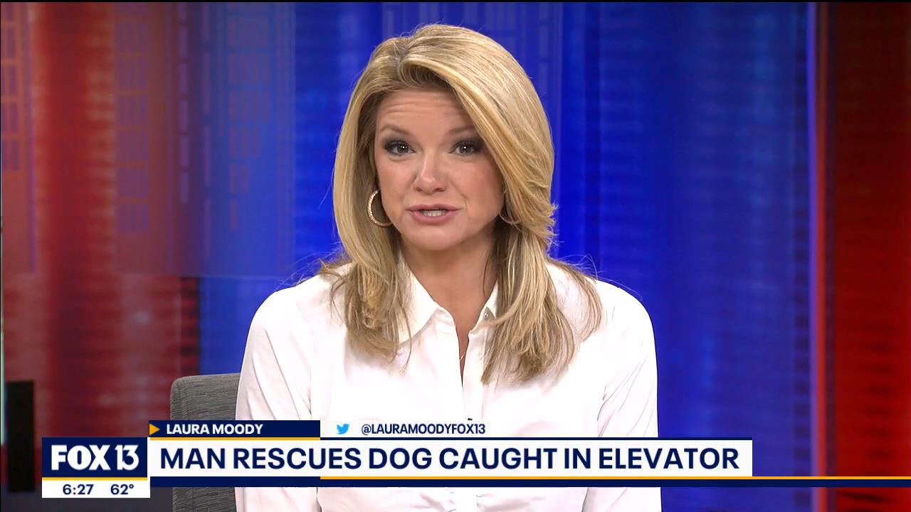 01 January - 11.00.00 - Good Day Tampa Bay @ 6AM. Local news, sp