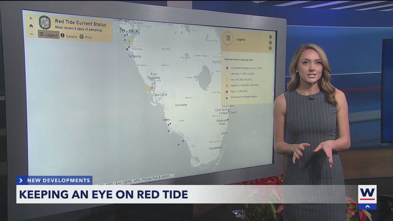 WINK News at 11_20241227_04000435.ts_snapshot_06.54.713