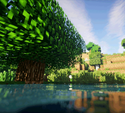 Minecraft-forest.gif