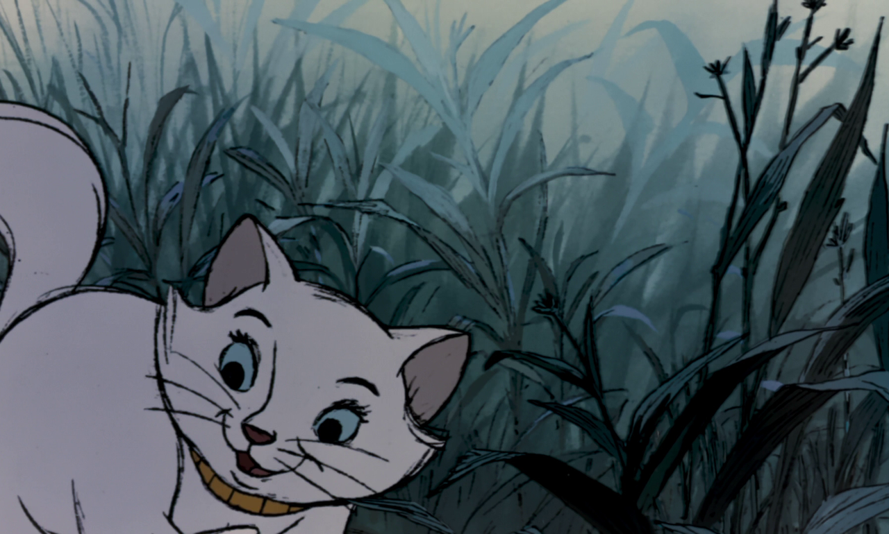 vlcsnap-2023-11-28-19h02m22s401