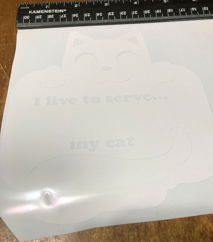 cat decal