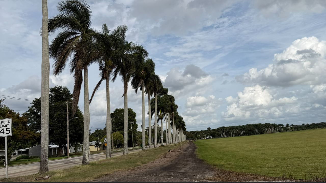 [Image: South-Of-Lake-Okee-Chobee9.png]