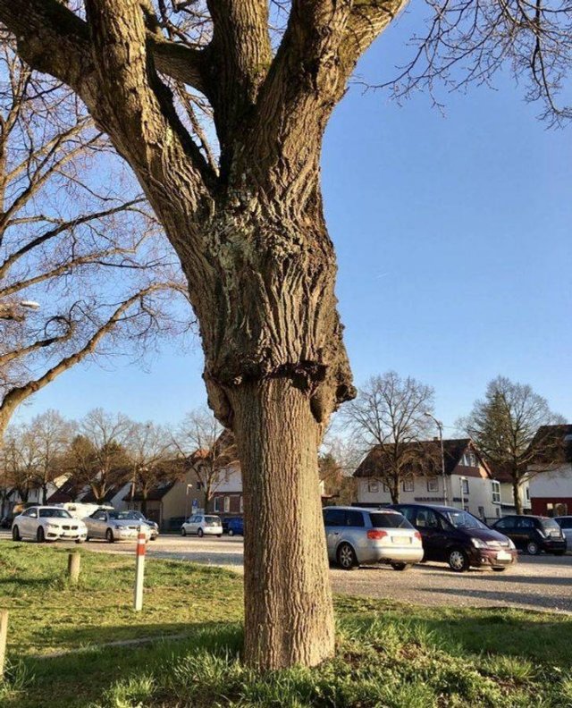 Unusual-6