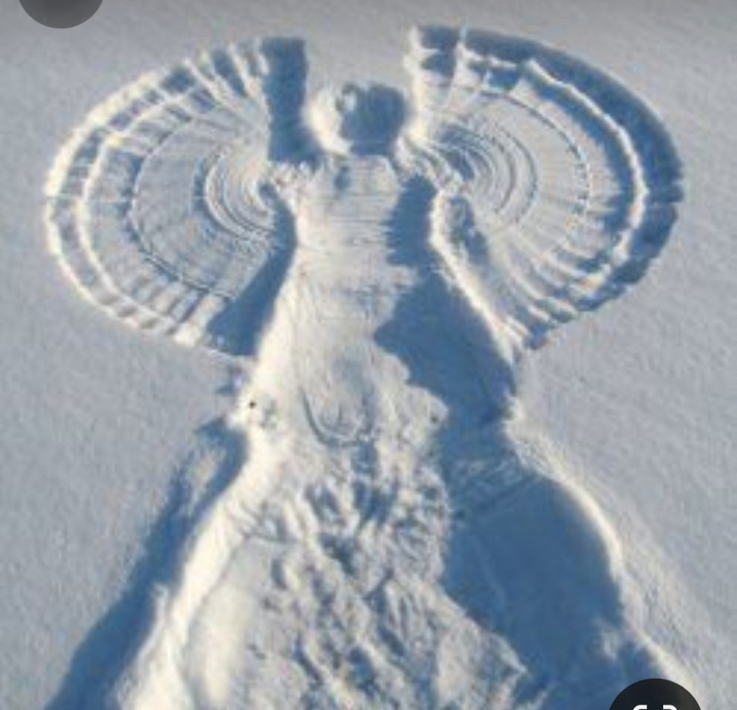 Screenshot_20231206_183415_Pinterest