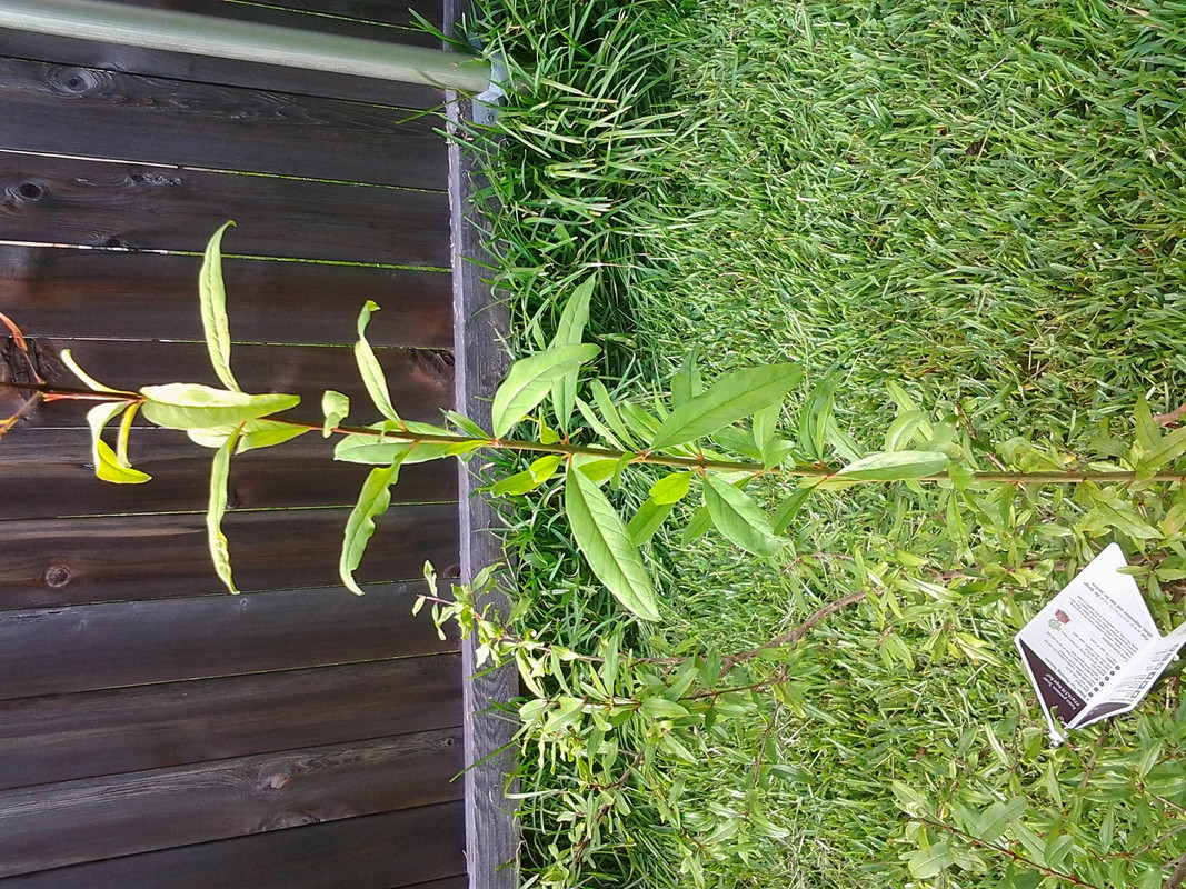 20150705_172650